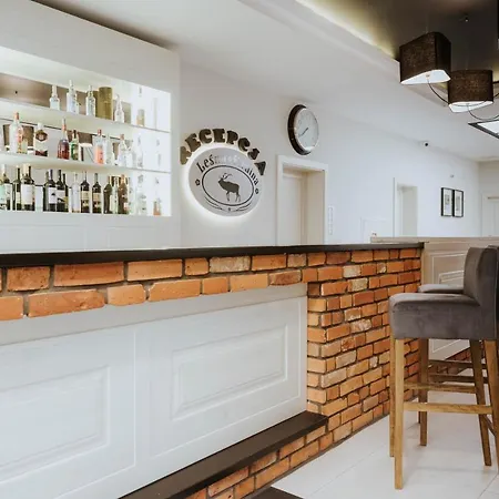 Lesne Ustronie 住宿加早餐酒店