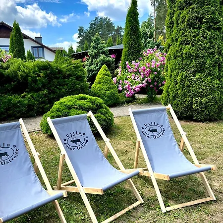 Lesne Ustronie 住宿加早餐酒店 Lubiszewo