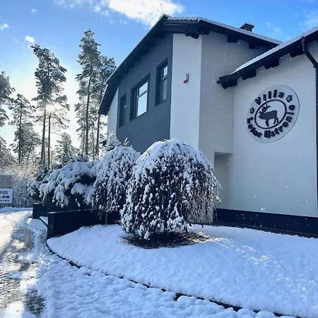 Bed & Breakfast Lesne Ustronie