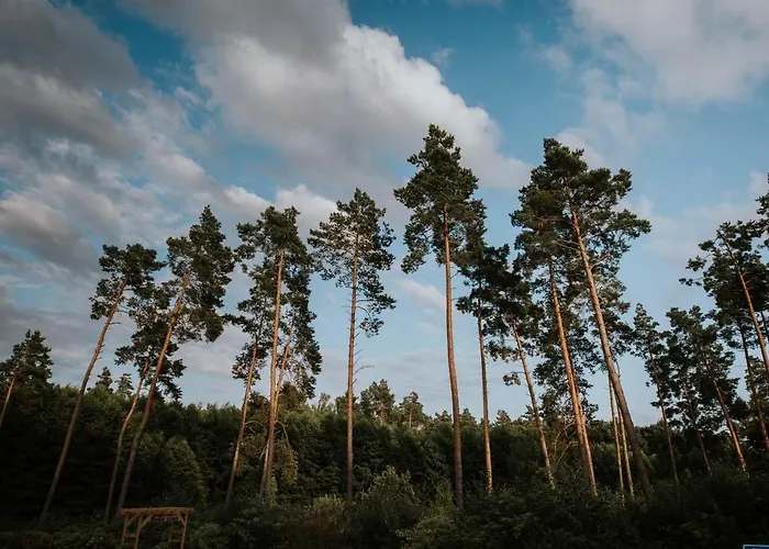 Bed & Breakfast Lesne Ustronie