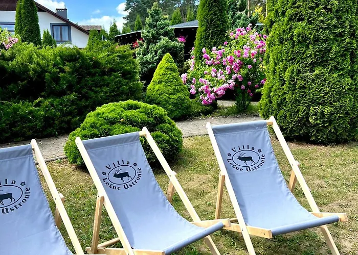 Lesne Ustronie Bed & Breakfast Lubiszewo