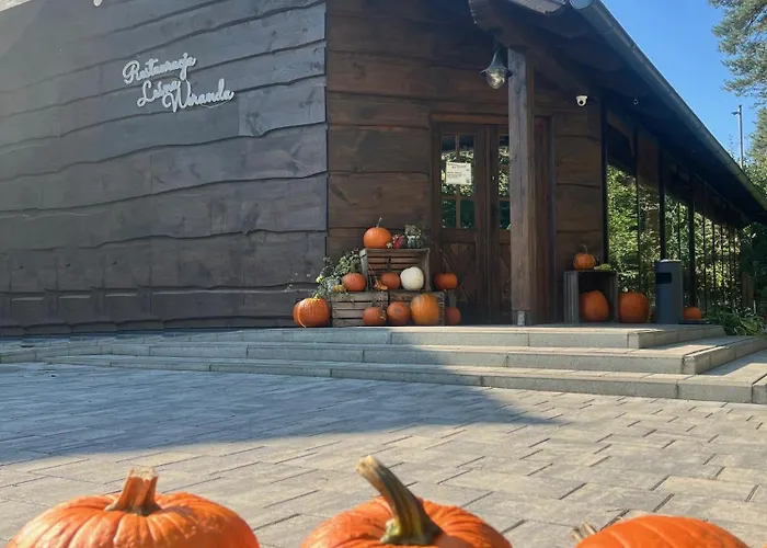 Lesne Ustronie Bed & Breakfast