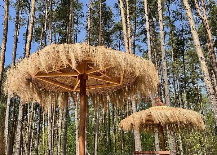 Bed & Breakfast Lesne Ustronie 2*