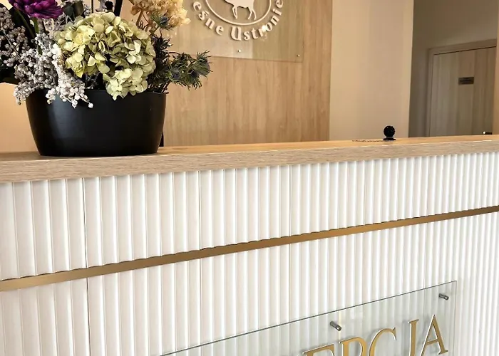 Lesne Ustronie Bed & Breakfast Lubiszewo