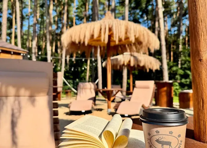 Lesne Ustronie Bed & Breakfast Lubiszewo